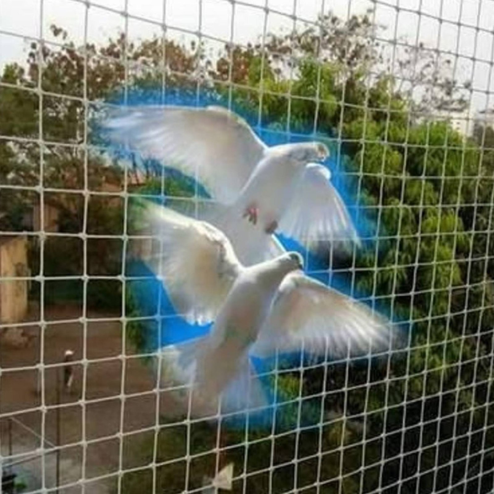 Pigeon Nets for Balconies